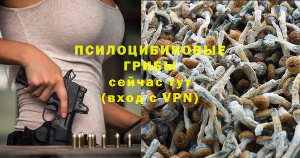 а пвп мука Ростов