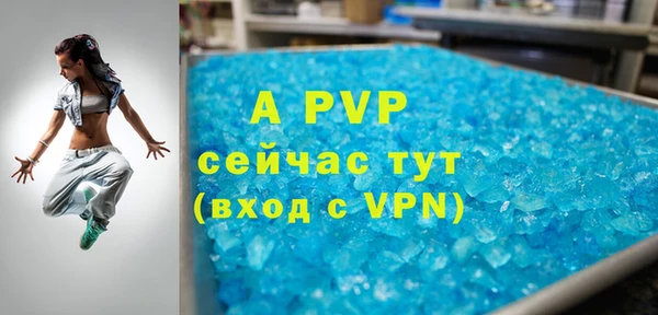 стафф Алзамай