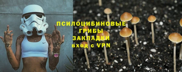 кокс Алексеевка