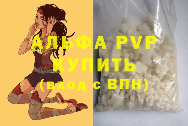 стафф Алзамай