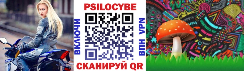 Псилоцибиновые грибы MAGIC MUSHROOMS  что такое   Ветлуга 